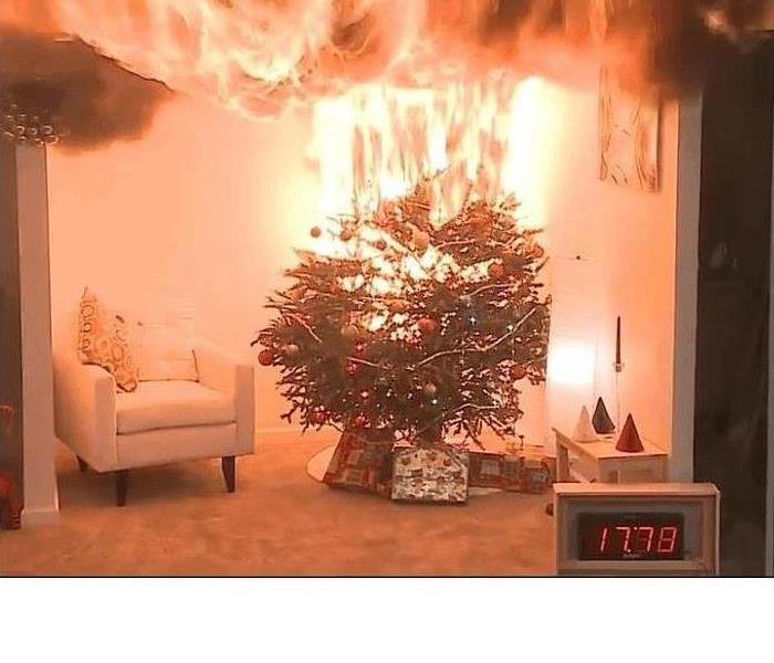 Fire in Living Room